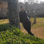 Profile picture of ‌محسن سازگار‌