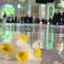 Profile picture of ‌Hanieh Fallahi‌