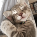Profile picture of ‌Sepi‌