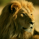 Profile picture of ‌علیرضا‌