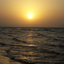 Profile picture of ‌یاس سفید‌