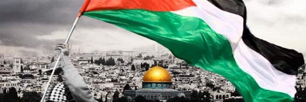 ‌منیره کوچکی‌'s header picture