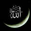 Profile picture of ‌محمد طه‌