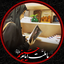 Profile picture of ‌خــاتـون‌