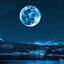 Profile picture of ‌احسان‌