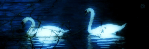 ‌Saghar‌'s header picture