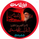 Profile picture of ‌پشتیبان ولایت فقیه باشید...‌
