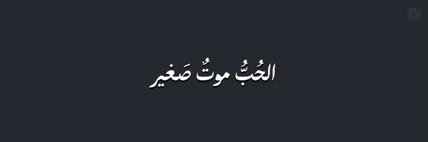 ‌ALIREZA‌'s header picture