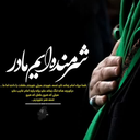Profile picture of ‌سید‌