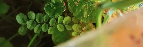 ‌خودِت‌'s header picture