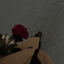 Profile picture of ‌هیـام‌