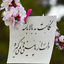 Profile picture of ‌محمدرضا محمدی‌