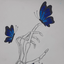 Profile picture of ‌پروانه خانوم 🦋‌
