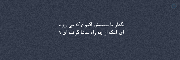 User's header picture