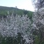 Profile picture of ‌n zarei‌