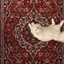 Profile picture of ‌zahra‌