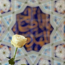 Profile picture of ‌فدایی وطن 🇮🇷‌