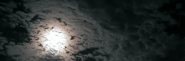 ‌♪ Mina‌'s header picture