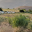 Profile picture of ‌امیر احمدی‌