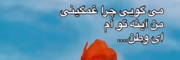 ‌Lil Pig‌'s header picture