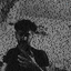 Profile picture of ‌ممد قنبر‌