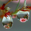 Profile picture of ‌زهرا شکاری‌