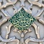 Profile picture of ‌fatemeh naghdi‌