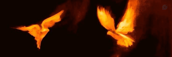 ‌MR.Spokesman‌'s header picture