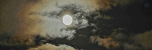 ‌Lili‌'s header picture