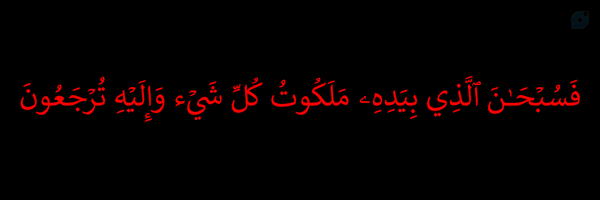 ‌محمد‌'s header picture