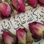 Profile picture of ‌مبینا زمانی‌