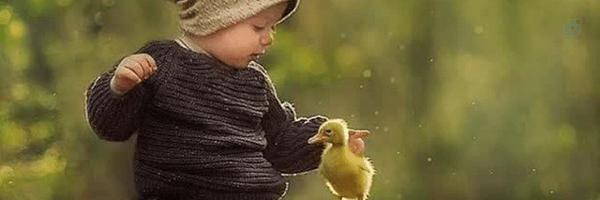 ‌محمد عابدی زاده‌'s header picture