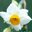 Profile picture of ‌سمیه هاشمی‌
