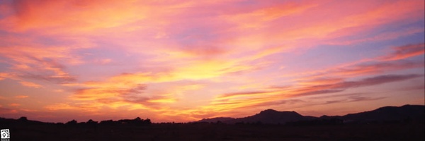 ‌اجتماعی‌طور‌'s header picture