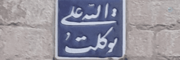‌مجتبی شاهوار‌'s header picture