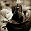 Profile picture of ‌انوشه رجبی‌