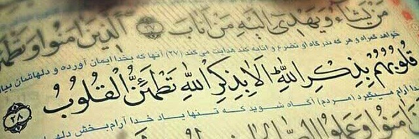 ‌رضا مسکنی‌'s header picture