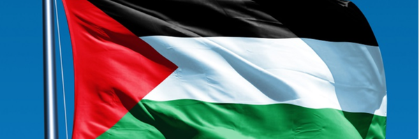 ‌Aylin🥀🏴 🇵🇸‌'s header picture