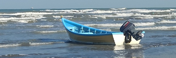 ‌سمانه فریدونی‌'s header picture