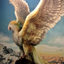 Profile picture of ‌عرصه سیمرغ‌