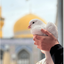 Profile picture of ‌فاطمه هروی‌