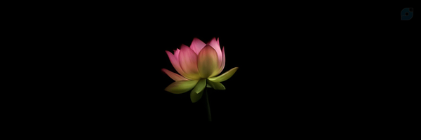 ‌مهدیه‌'s header picture