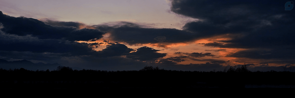 ‌علی سینا | Alisina‌'s header picture