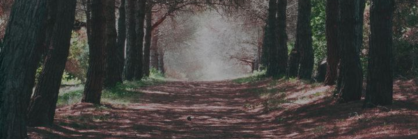 ‌مهدی‌'s header picture