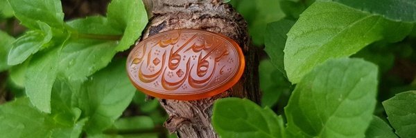‌سجاد توسل پناهی‌'s header picture