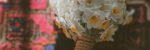 ‌نرگس پاسبان‌'s header picture