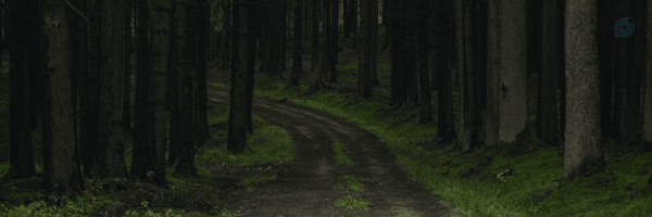 ‌| فارا |‌'s header picture