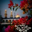 Profile picture of ‌موعود‌