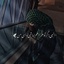 Profile picture of ‌شـیرین‌
