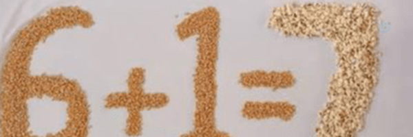 ‌گلی باقلوازاده‌'s header picture